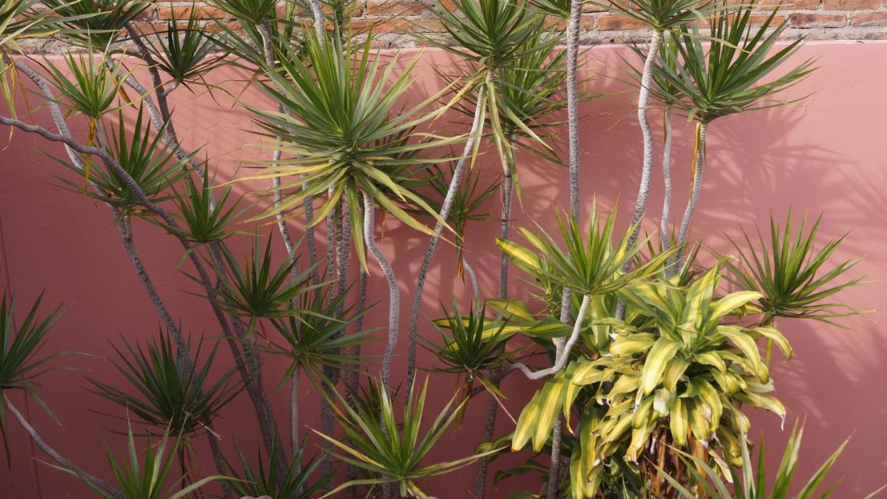 ブエノスアイレスDepartamentos Enteros En Palermo Hollywoodアパートメント エクステリア 写真
